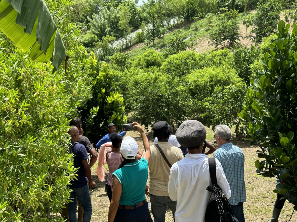 Visite de terrain au CFPPA du Lorrain, essai Cirad. © Laurent Parrot